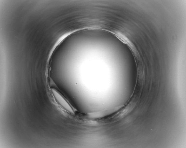 X0000086990956200704301335