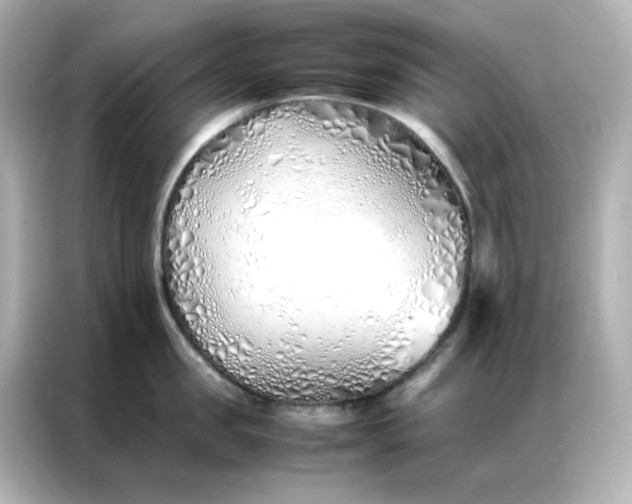 X0000086990957200704301335