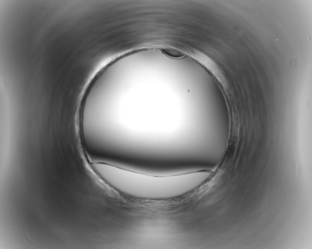 X0000086990958200704301335