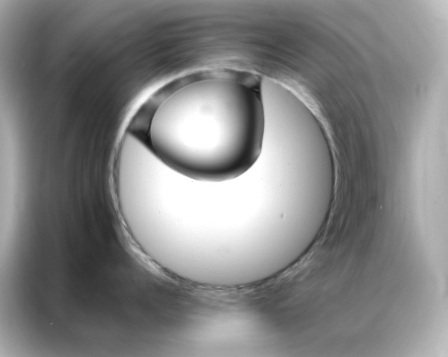 X0000086990960200704301335