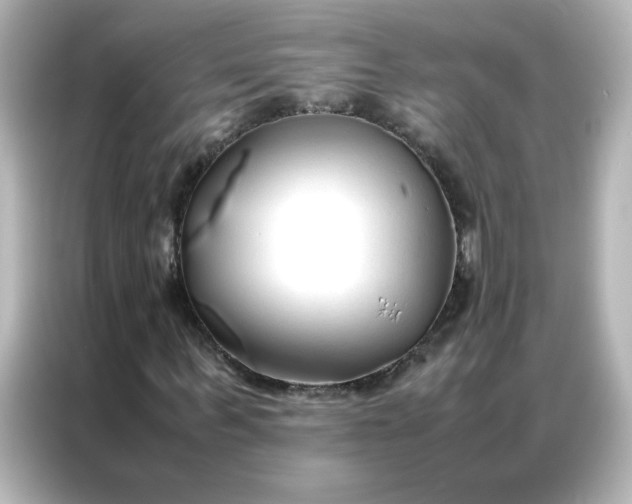 X0000086990963200704301334