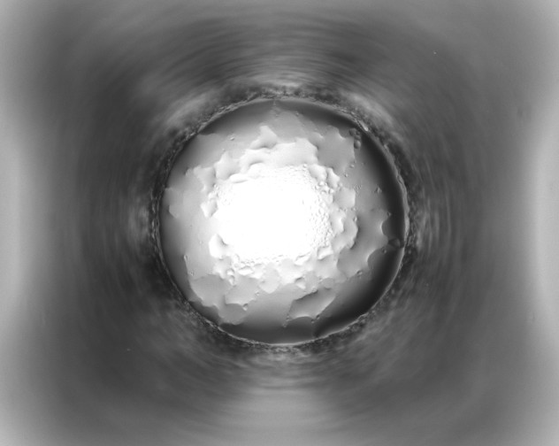 X0000086990966200704301334