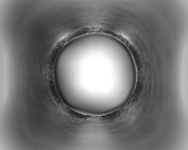 X0000086990967200704301334