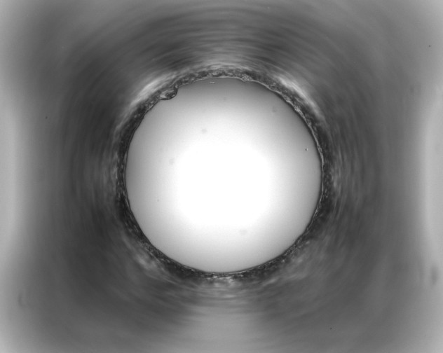 X0000086990968200704301334