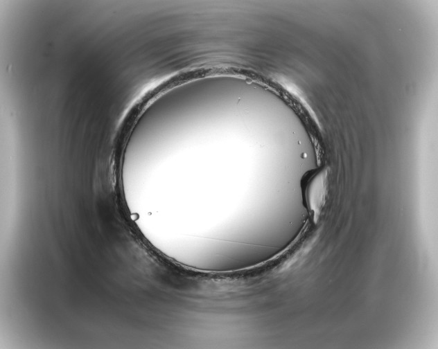 X0000086990973200704301334