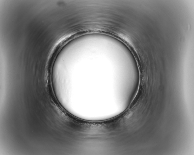 X0000086990979200704301334