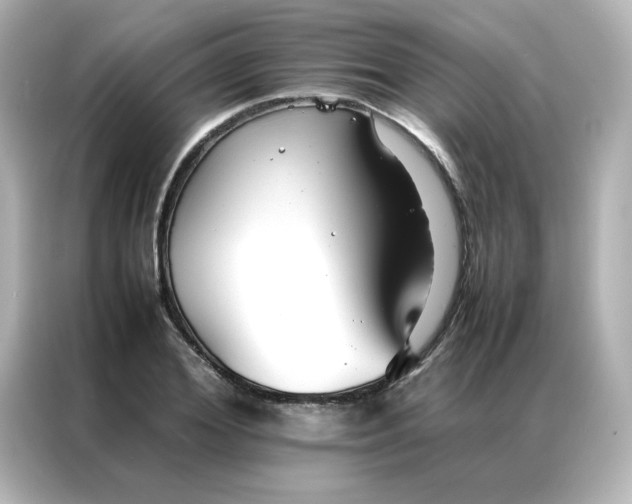 X0000086990980200704301334