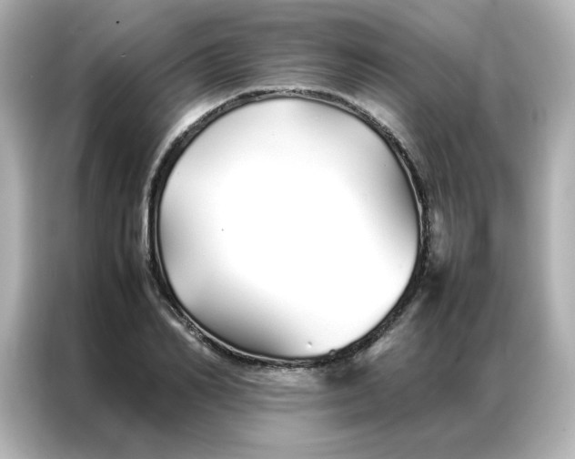 X0000086990982200704301334