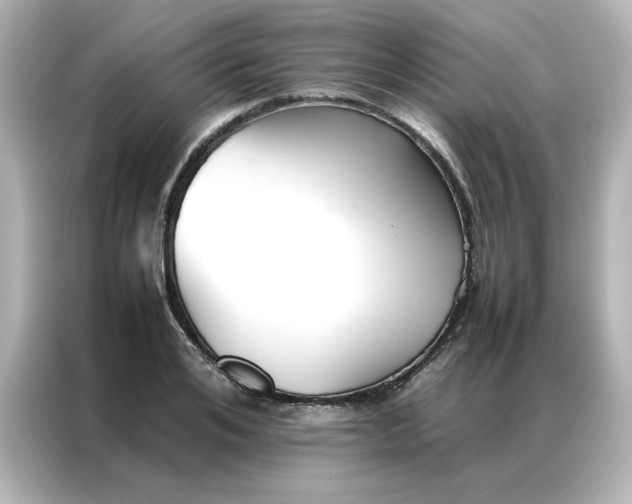 X0000086990984200704301334