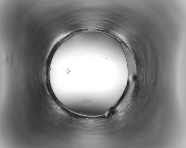 X0000086990987200704301334