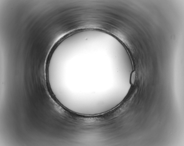 X0000086990988200704301334