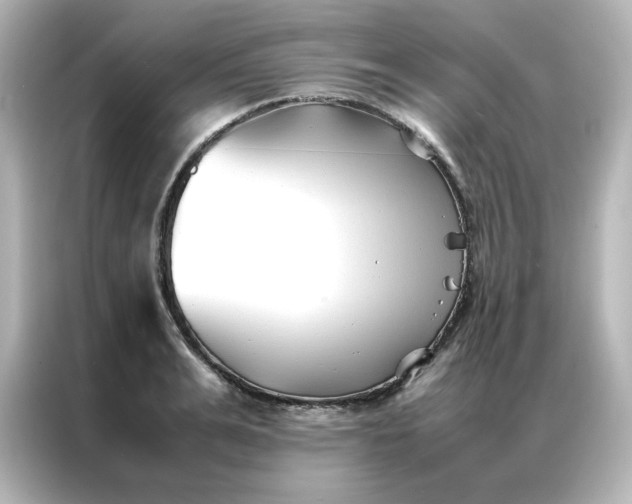 X0000086990991200704301334