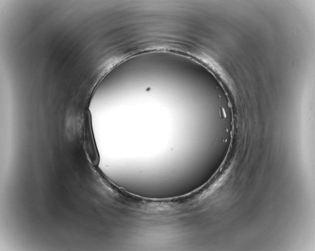 X0000086990993200704301334