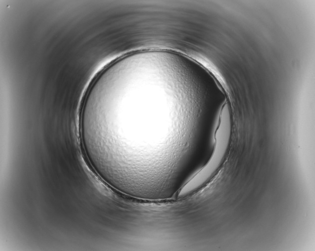 X0000086990996200704301334