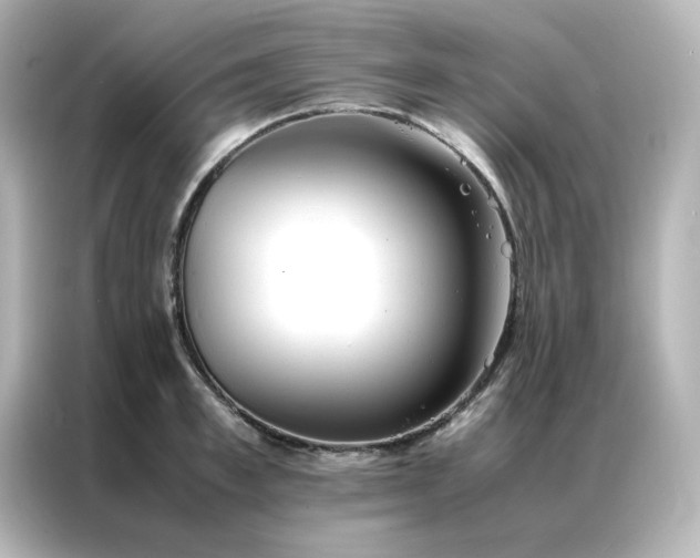 X0000086990997200704301334