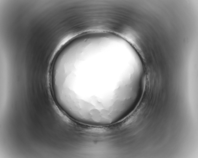 X0000086990998200704301334