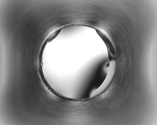 X0000086990999200704301334