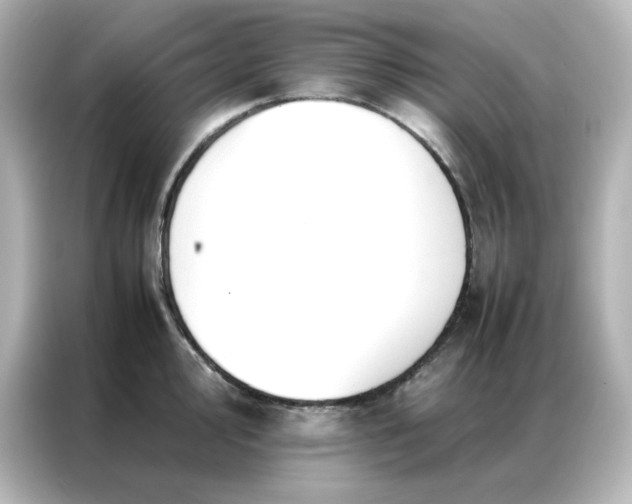 X0000086991000200704301334