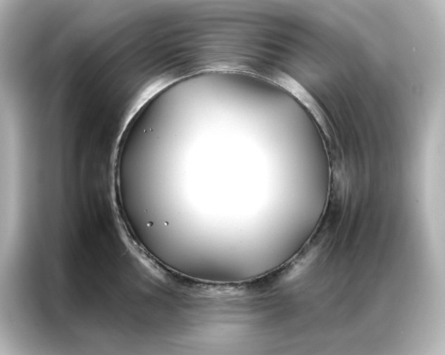 X0000086991002200704301334