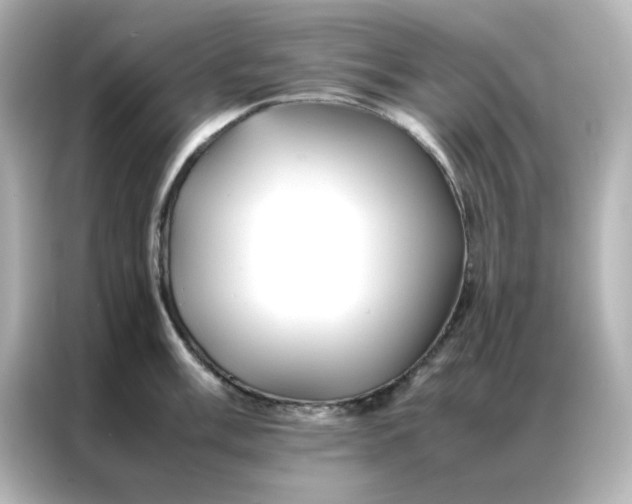 X0000086991003200704301334