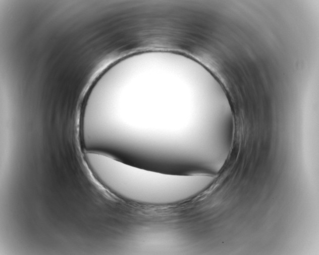 X0000086991006200704301334