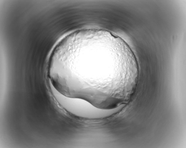 X0000086991008200704301334