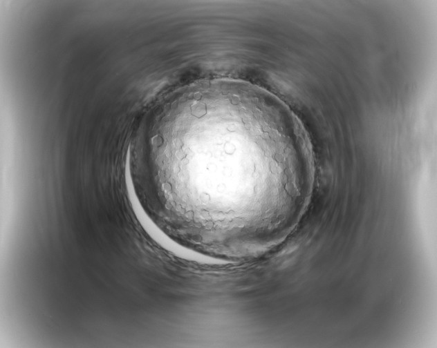 X0000086991010200704301333