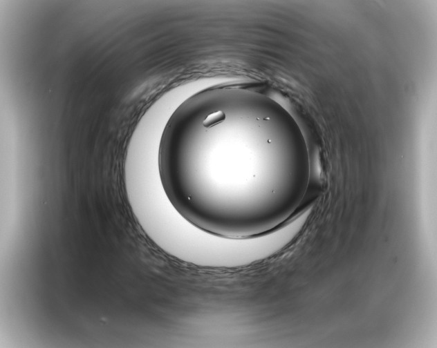 X0000086991014200704301333