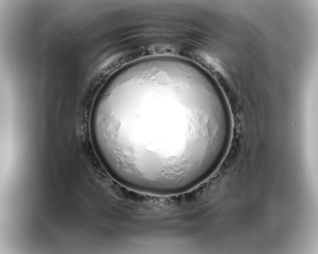 X0000086991015200704301333