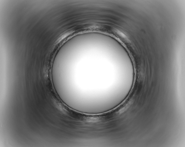 X0000086991017200704301333