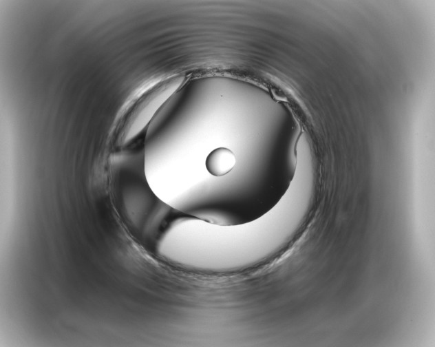 X0000086991018200704301333