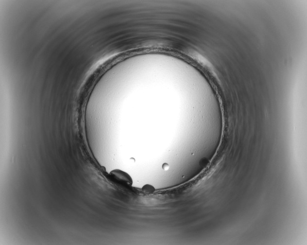 X0000086991019200704301333