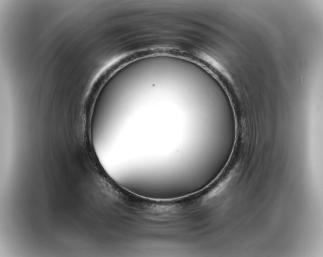 X0000086991021200704301333