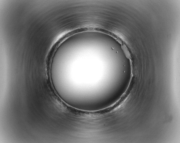 X0000086991022200704301333