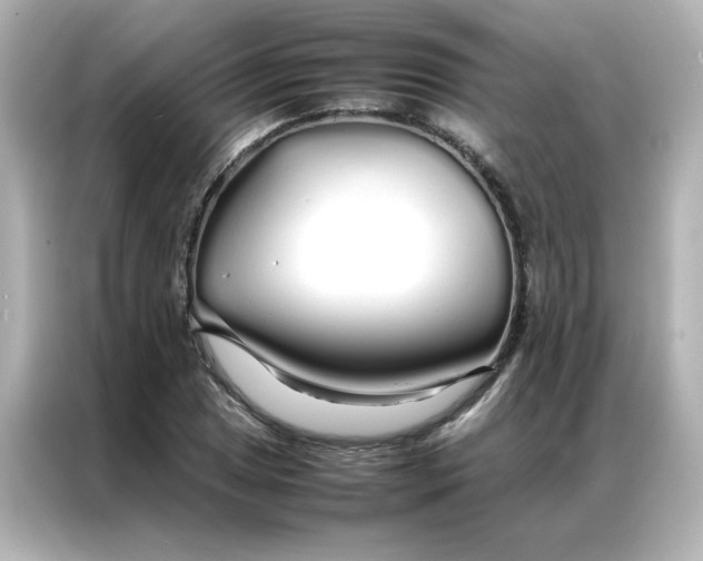 X0000086991025200704301333