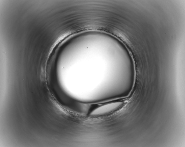 X0000086991026200704301333