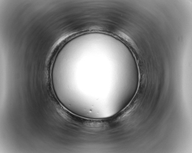 X0000086991027200704301333