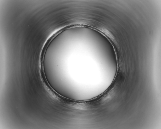 X0000086991028200704301333