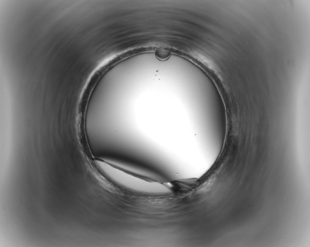 X0000086991029200704301333