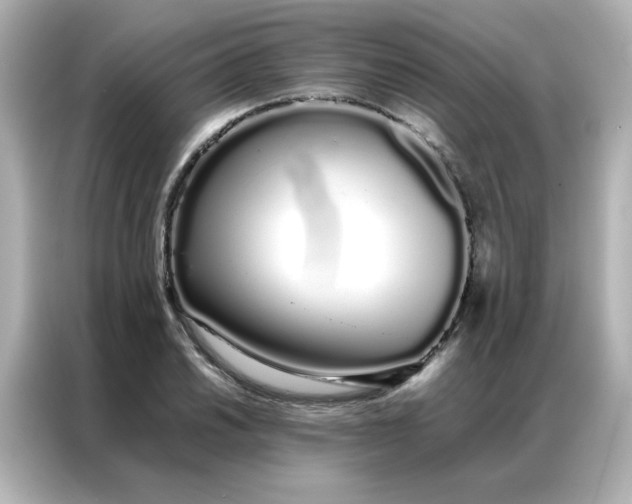 X0000086991030200704301333