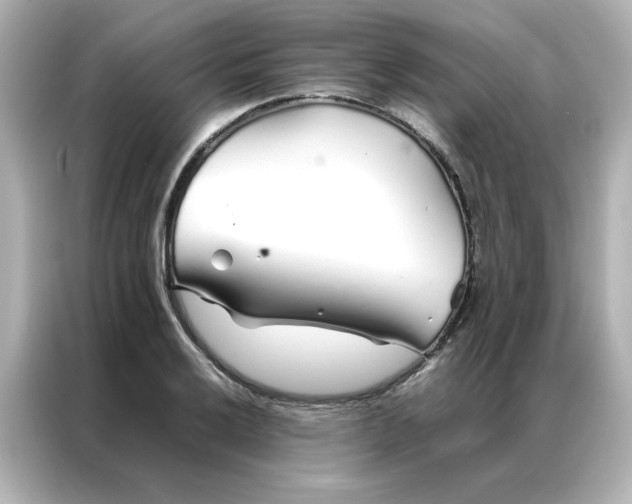 X0000086991032200704301333