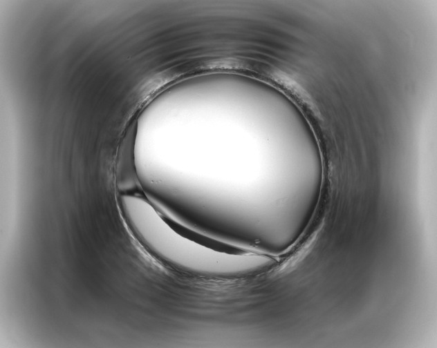 X0000086991033200704301333