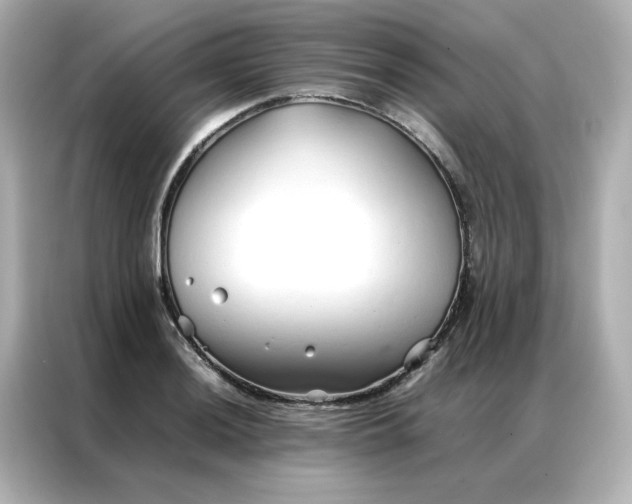 X0000086991036200704301333