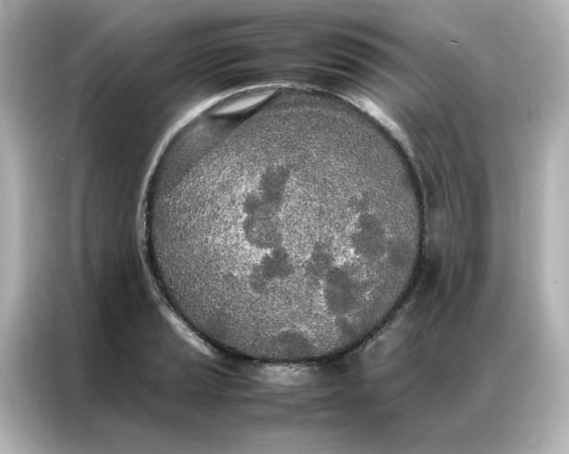 X0000086991037200704301333