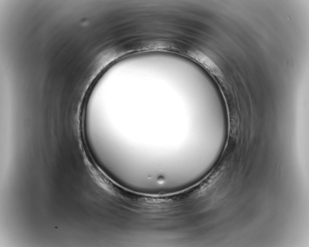 X0000086991039200704301333