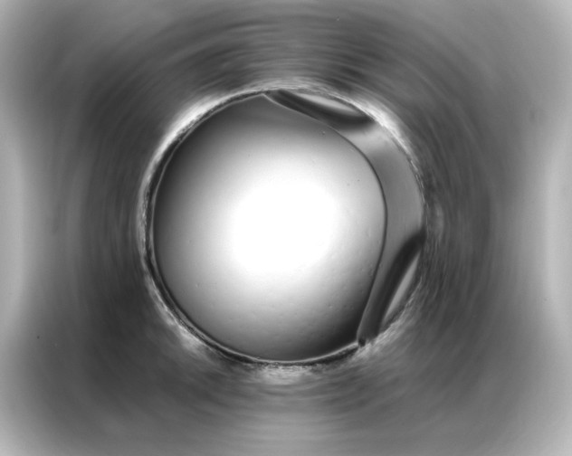 X0000086991046200704301334