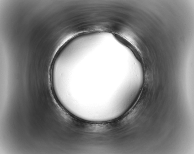 X0000086991047200704301334