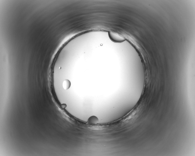 X0000086991048200704301334