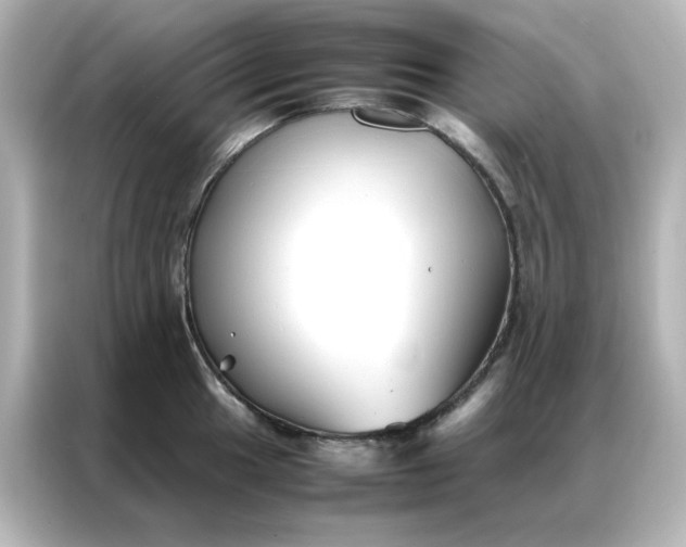 X0000086991049200704301334