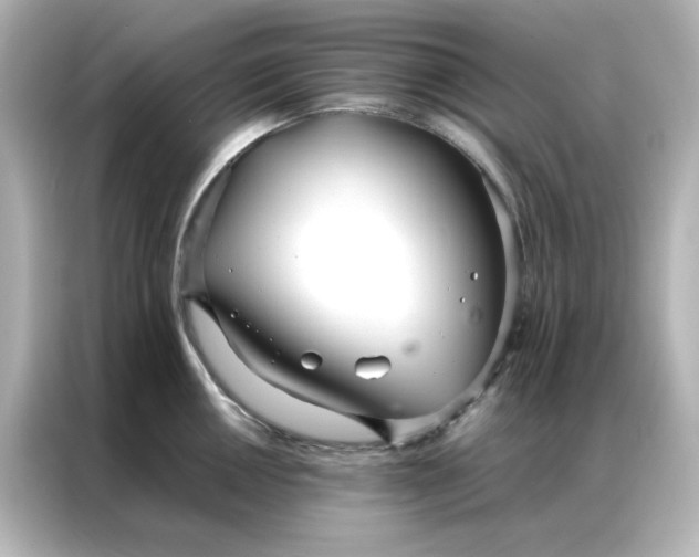 X0000086991050200704301334